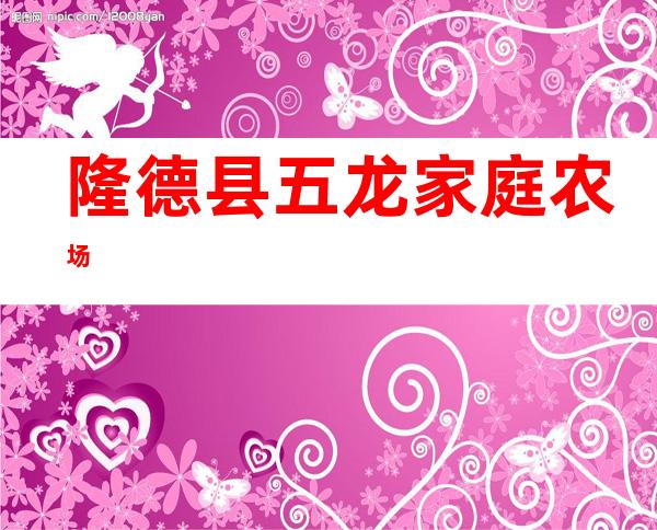 隆德县五龙家庭农场